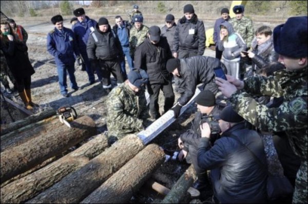 Бревна с начинкой (11 фото) Бревна с начинкой (11 фото)