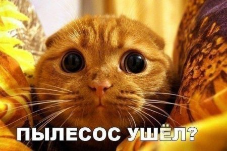 Для таких как ты, только прикольные фото. Для таких как ты, только прикольные фото.