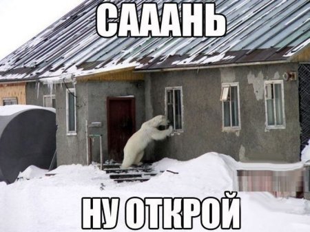 Для таких как ты, только прикольные фото. Для таких как ты, только прикольные фото.