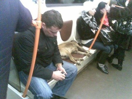 Для таких как ты, только прикольные фото. Для таких как ты, только прикольные фото.