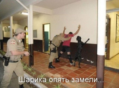 Для таких как ты, только прикольные фото. Для таких как ты, только прикольные фото.