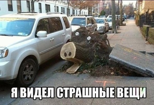 Автомобильные приколы. Часть 111 (31 фото) Автомобильные приколы. Часть 111 (31 фото)