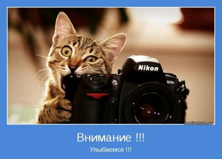 Позитивные мотиваторы, в начале недели то что нужно. Позитивные мотиваторы, в начале недели то что нужно.