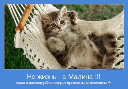 Позитивные мотиваторы, в начале недели то что нужно. Позитивные мотиваторы, в начале недели то что нужно.