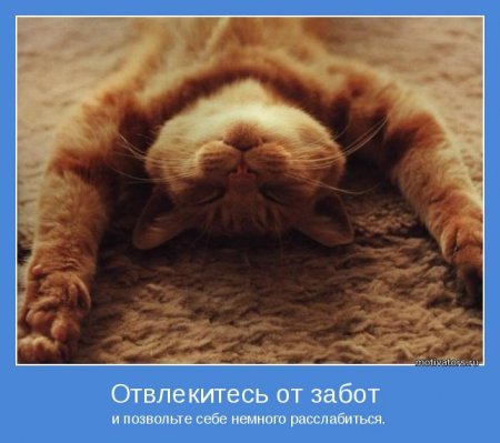 Позитивные мотиваторы, в начале недели то что нужно. Позитивные мотиваторы, в начале недели то что нужно.