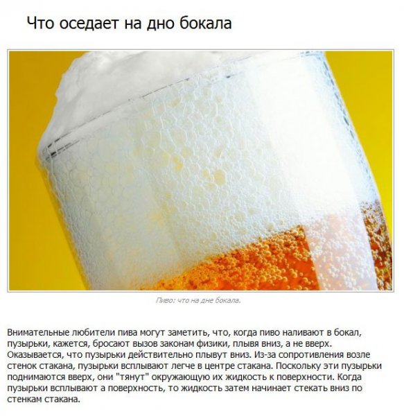 Факты о пиве (10 фото)