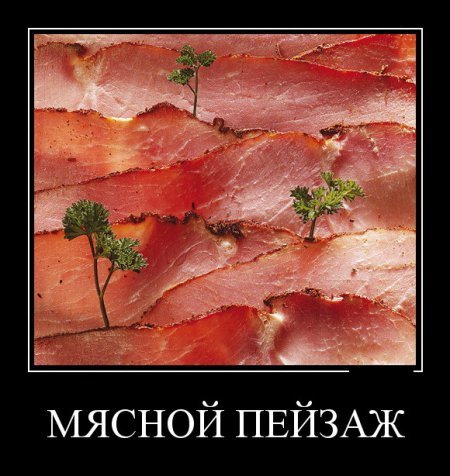 Прикольные демотиваторы, так то вот. Прикольные демотиваторы, так то вот.