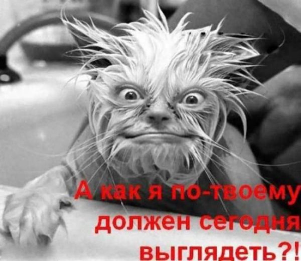 Рабочая суббота (27 фото) Рабочая суббота (27 фото)