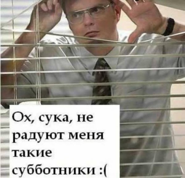 Рабочая суббота (27 фото) Рабочая суббота (27 фото)