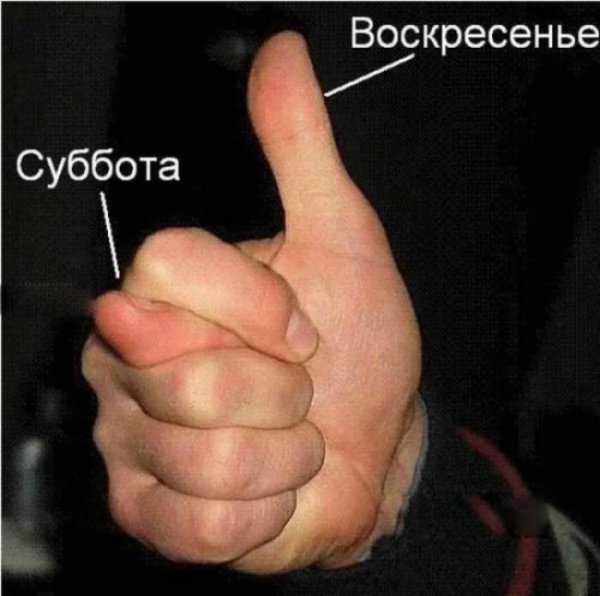 Рабочая суббота (27 фото) Рабочая суббота (27 фото)