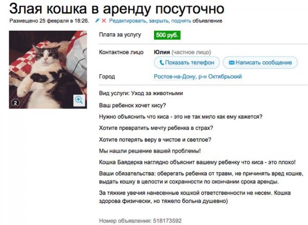 Аренда злой кошки (7 скриншотов)