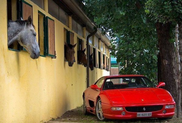 Автомобильные приколы. Часть 112 (29 фото) Автомобильные приколы. Часть 112 (29 фото)
