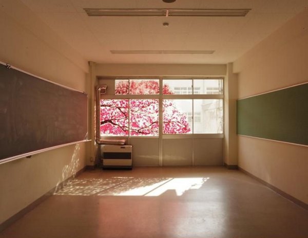 Рисунок на окнах в виде цветущей сакуры (4 фото)