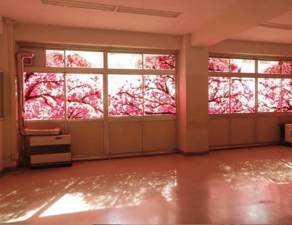 Рисунок на окнах в виде цветущей сакуры (4 фото)