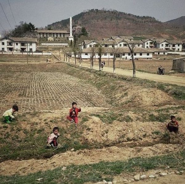 Земледелие в Северной Корее (35 фото)