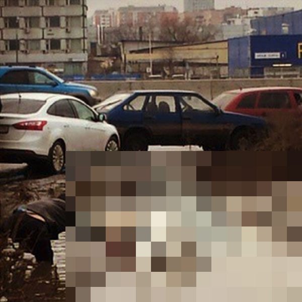 Неудачная попытка объехать пробку по обочине (4 фото) Неудачная попытка объехать пробку по обочине (4 фото)