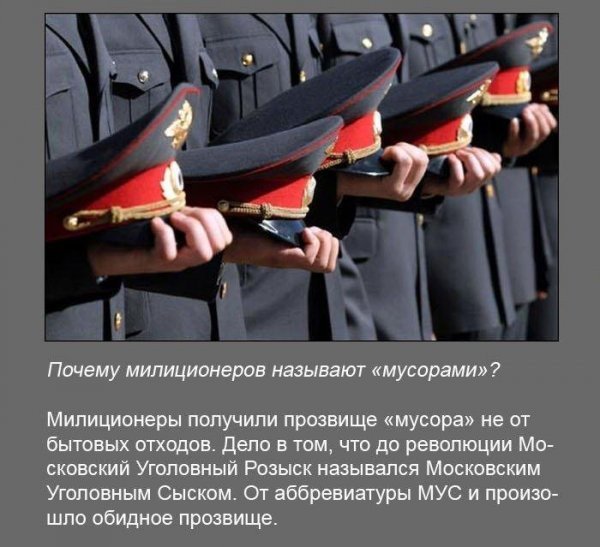 Интересные факты (19 фото) Интересные факты (19 фото)