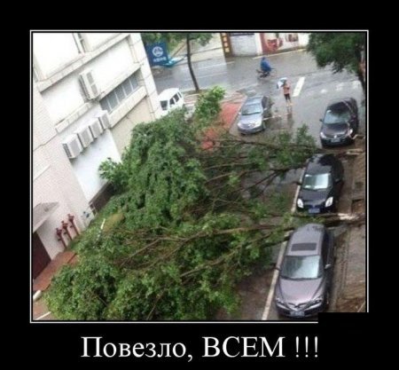 Демотиваторы, для зорких глаз. Демотиваторы, для зорких глаз.