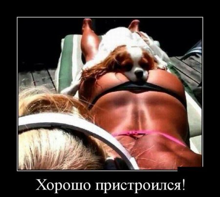 Демотиваторы, для зорких глаз. Демотиваторы, для зорких глаз.