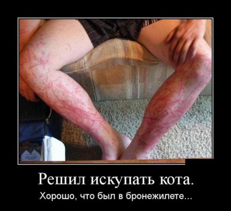 Демотиваторы, для зорких глаз. Демотиваторы, для зорких глаз.